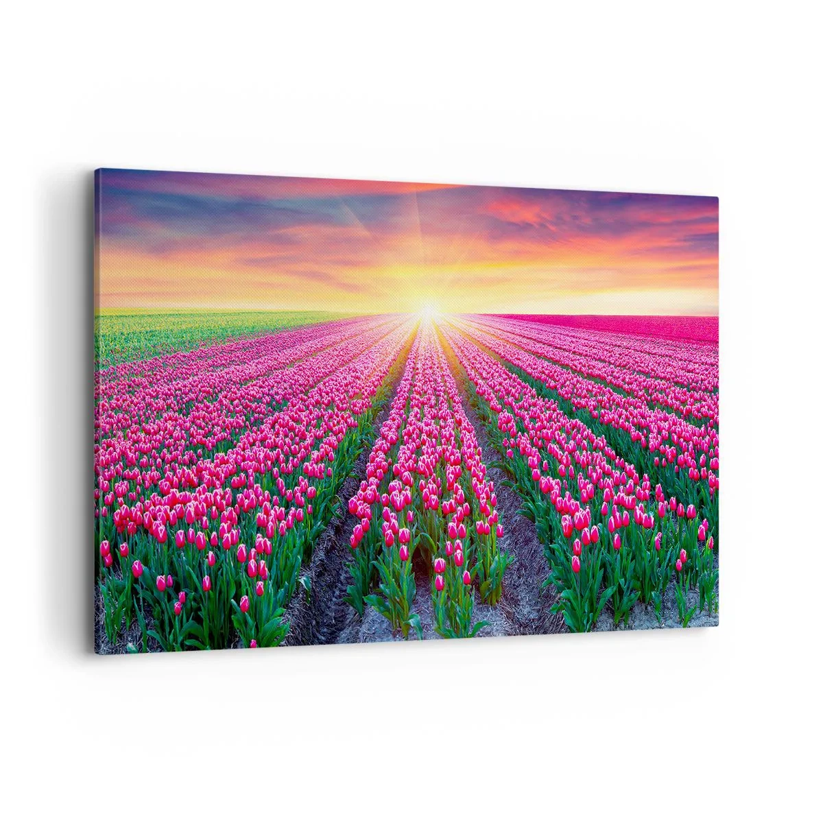 Schilderen op canvas - Beautyfarm - 120x80 cm