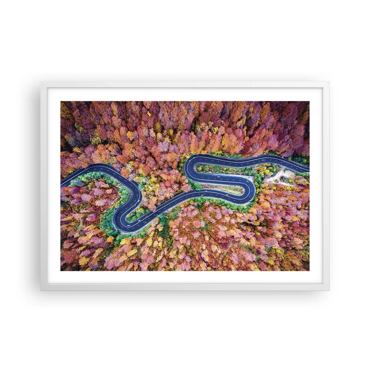 Poster in een witte lijst - Een kronkelende weg door het bos - 70x50 cm