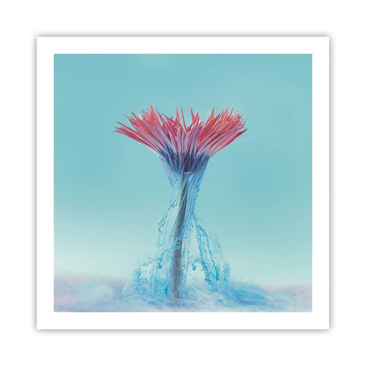 Poster - In een verkwikkende omhelzing - 60x60 cm