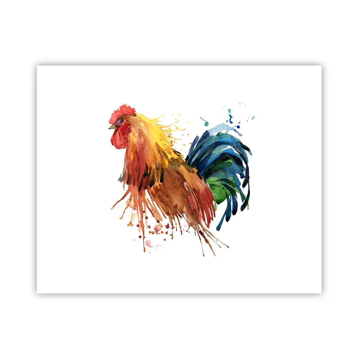 Poster - Koninklijk gewaad, koninklijke trots - 50x40 cm