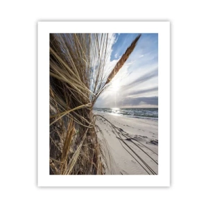 Poster - Een ontmoeting van de elementen - 40x50 cm