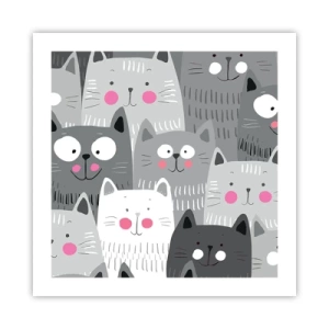 Poster - De wereld van de kat - 50x50 cm
