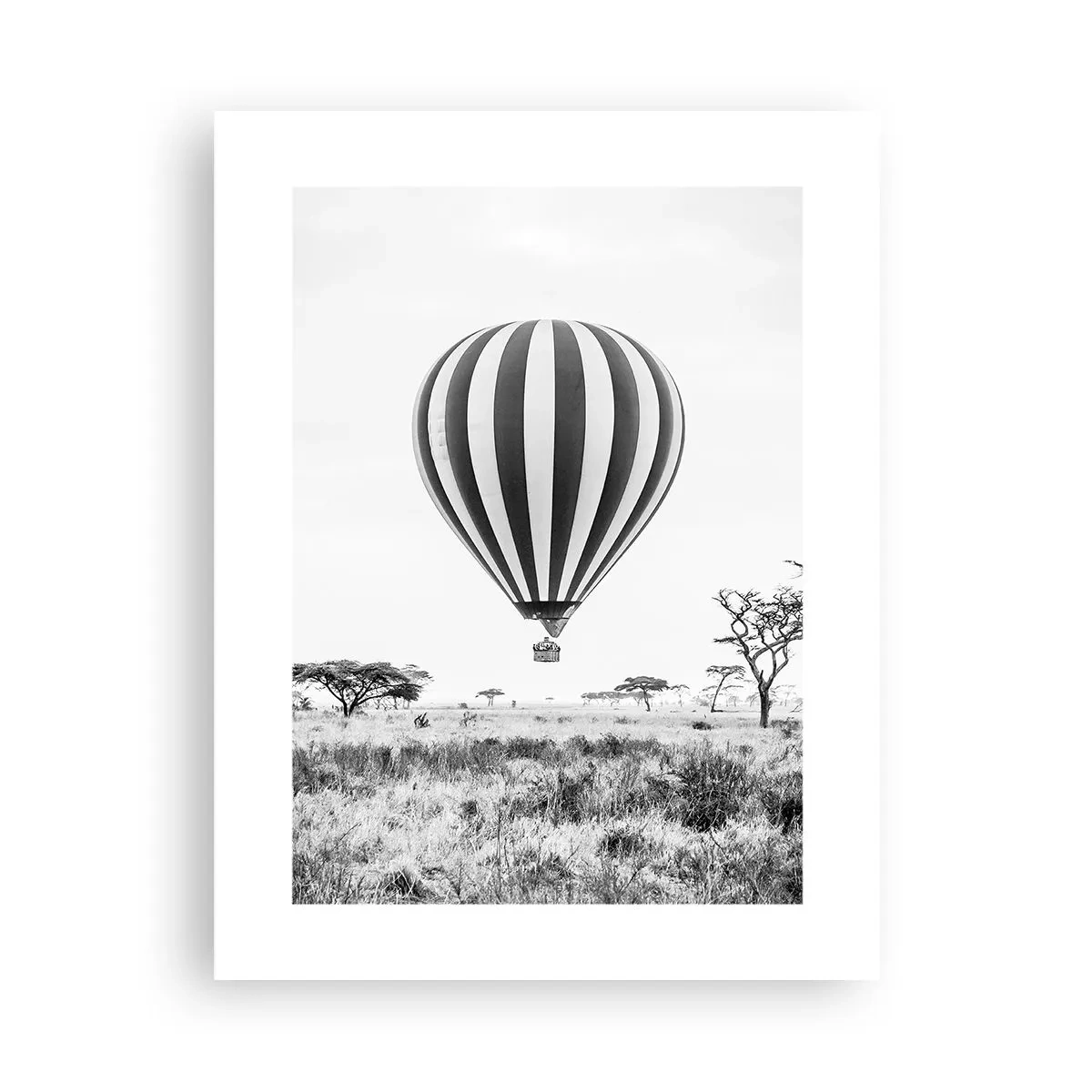 Poster - Boven de savanne - 30x40 cm