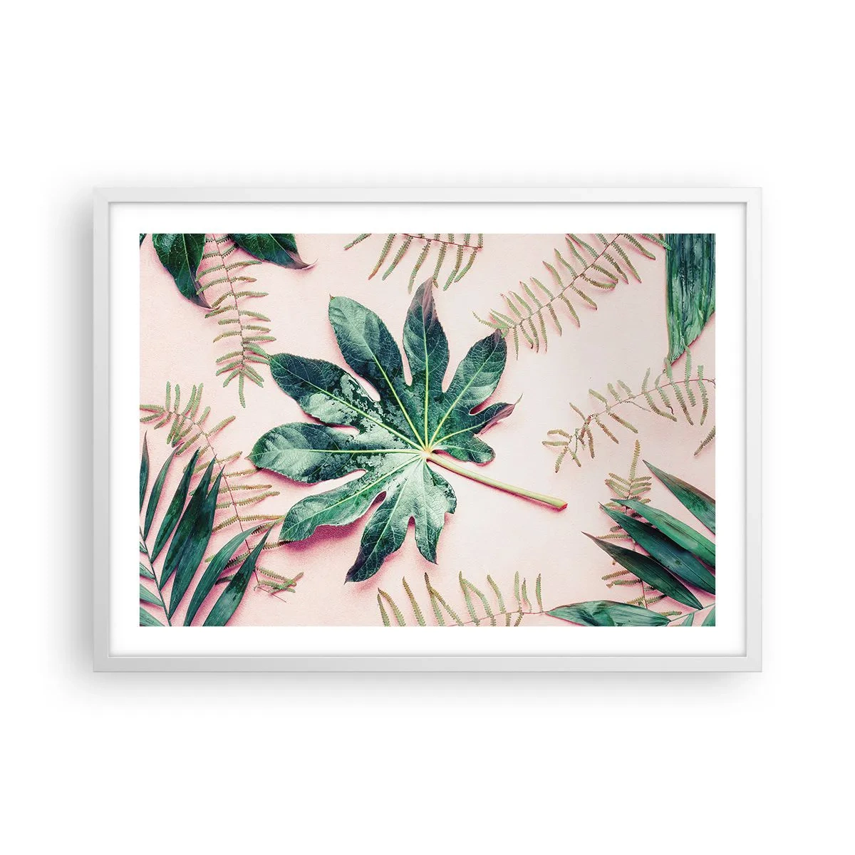 Poster in een witte lijst - Een studie van groen op een roze achtergrond - 70x50 cm