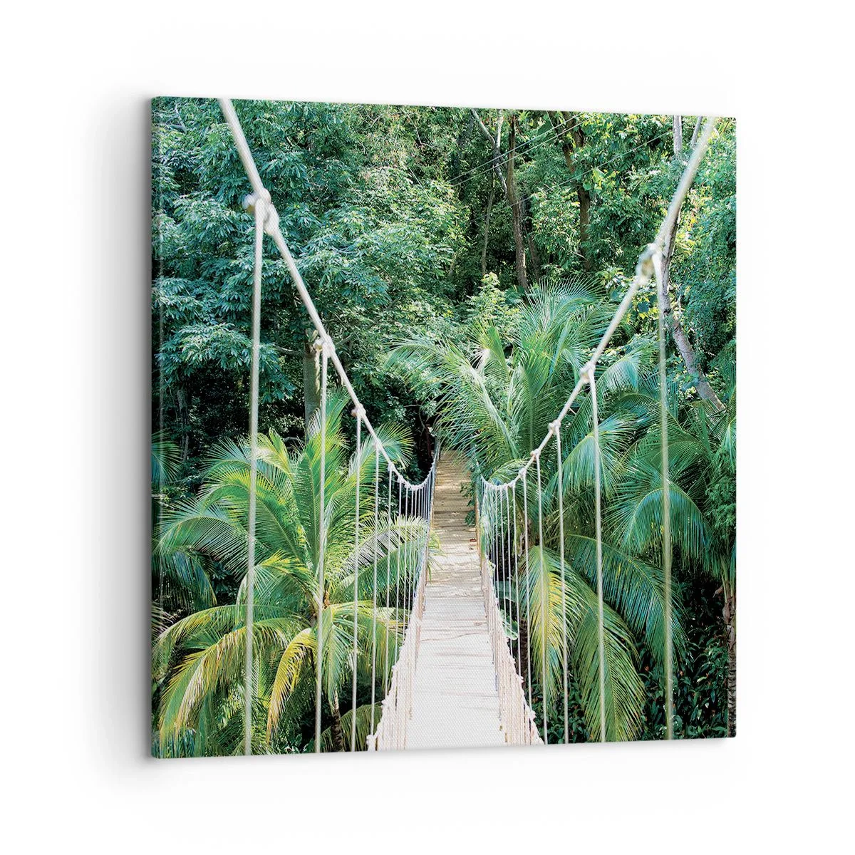 Schilderen op canvas - Welkom in de jungle! - 60x60 cm