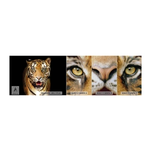 Fotobehang Monster Premium Sand - Wildheid in het hart - Dieren, Tijger, Roofdier - 100x30 cm