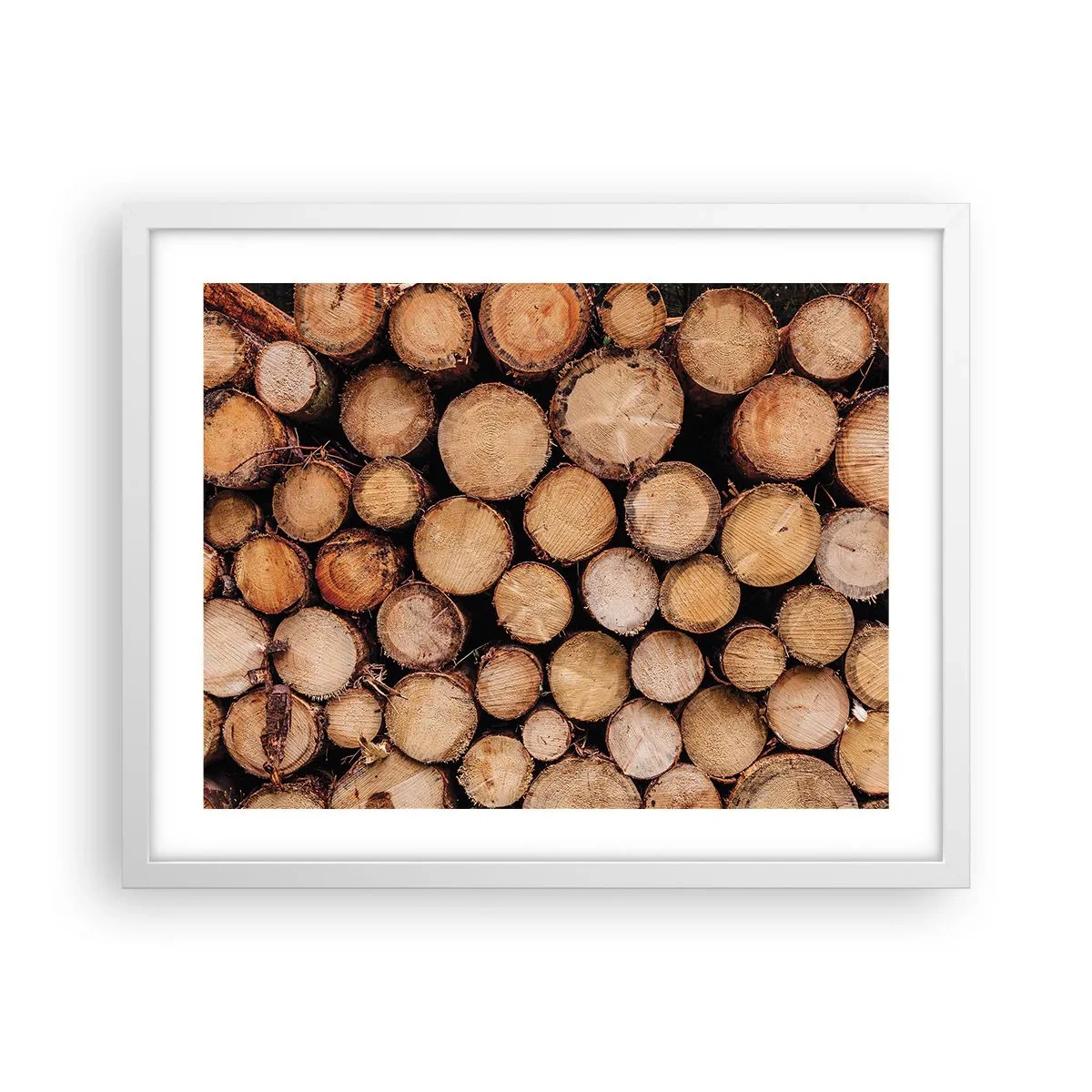 Poster in een witte lijst - Een nieuw begin - 50x40 cm