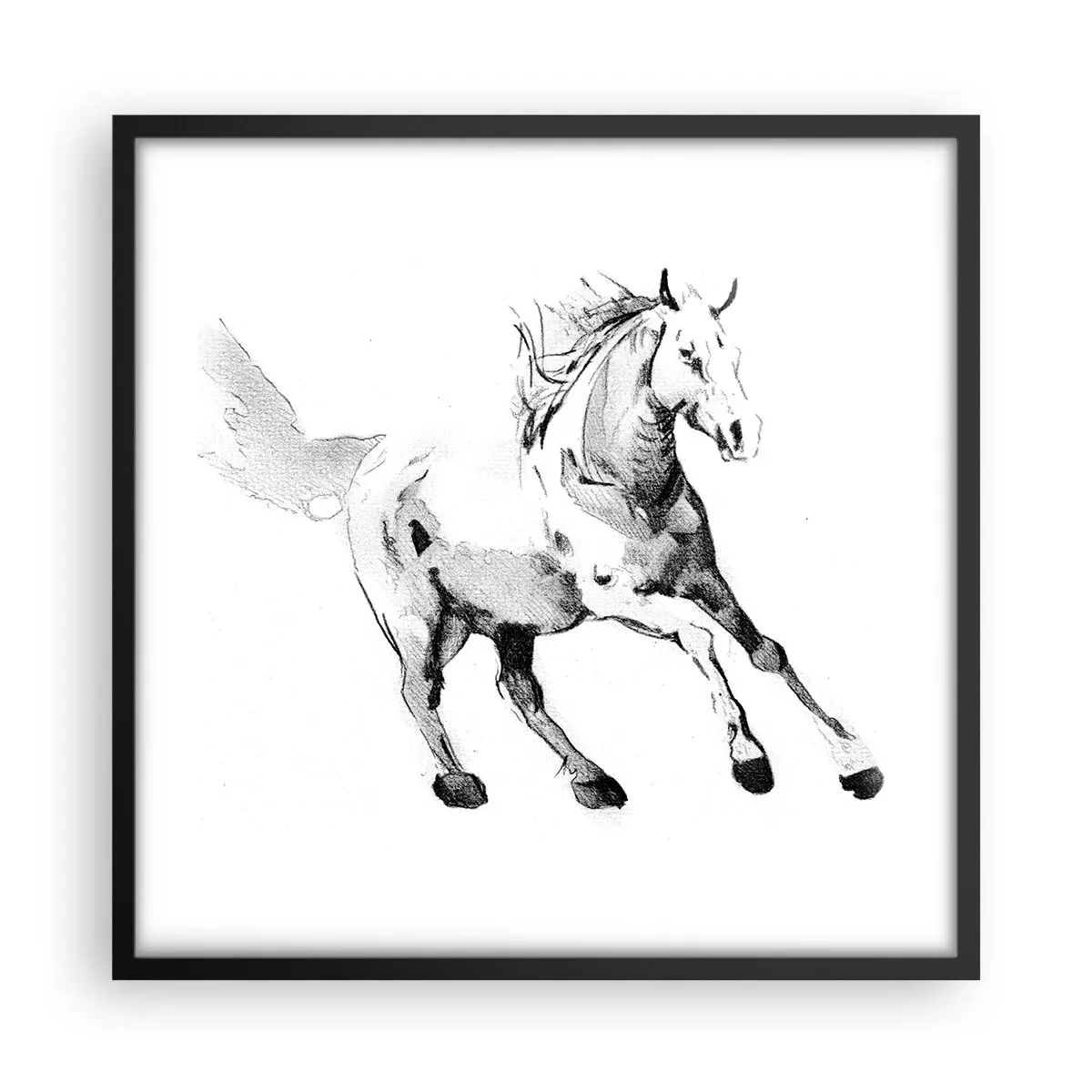 Poster in een zwarte lijst - Ongetemde ziel - 50x50 cm