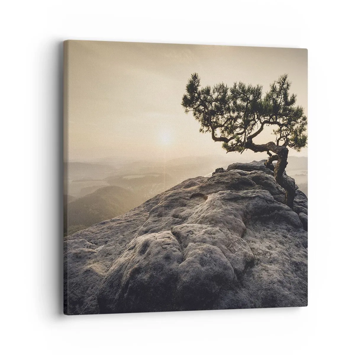 Schilderen op canvas - Het leven wint altijd - 40x40 cm