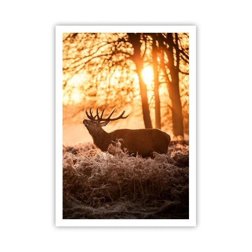 Poster - De droom van een jager - 70x100 cm