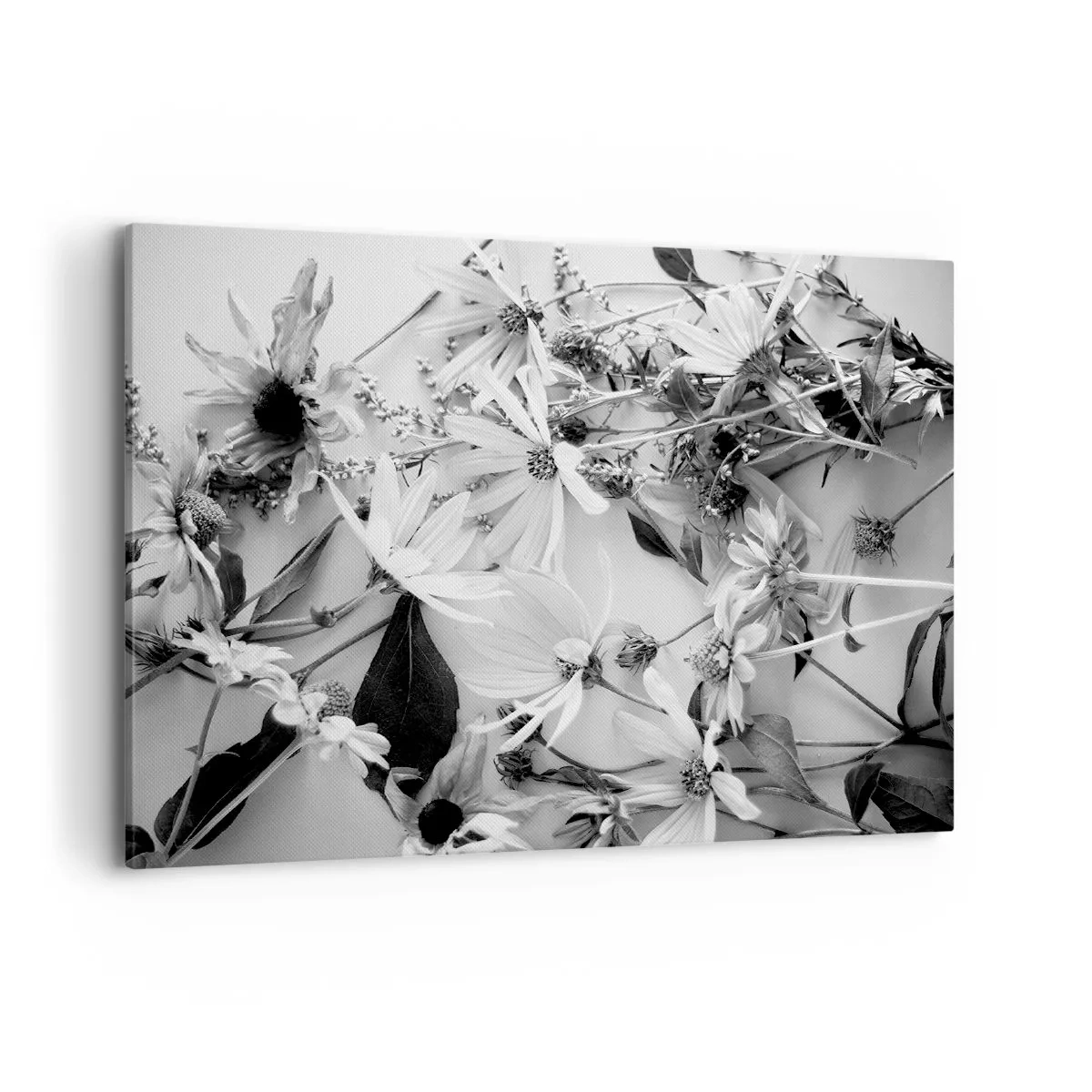 Schilderen op canvas - Niet-boeket bloemen - 100x70 cm