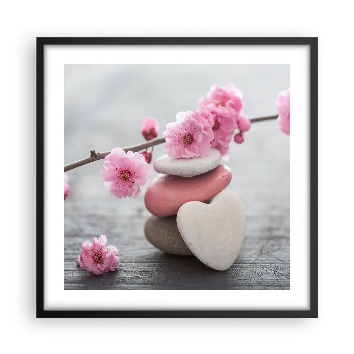 Poster in een zwarte lijst - Gelukzaligheid met een kersenbloesem - 50x50 cm