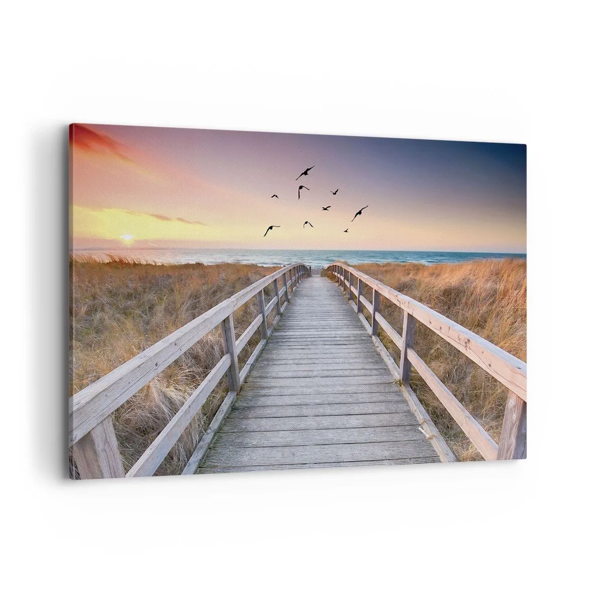 Schilderen op canvas - De ruimte voor opvliegen - 100x70 cm