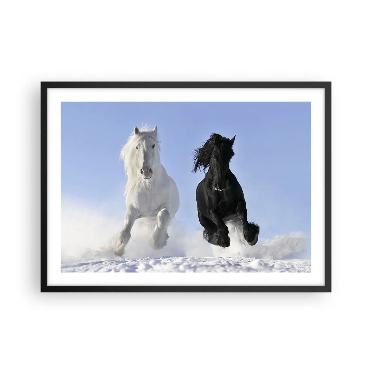 Poster in een zwarte lijst - Zwart-wit galop - 70x50 cm