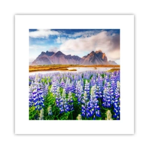 Poster - Kracht en soberheid naast zachtheid - 30x30 cm