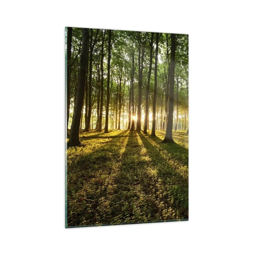 Schilderen op glas - Foto van de hele lente - 80x120 cm