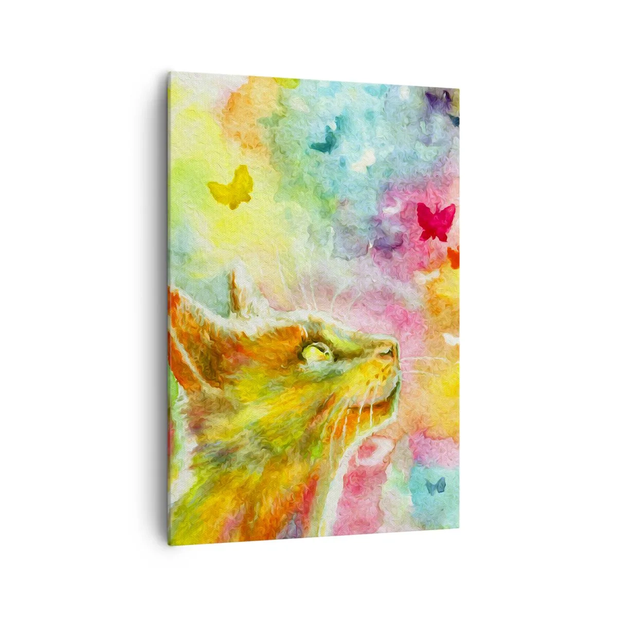 Schilderen op canvas - Baju-baju in het kattenparadijs - 70x100 cm