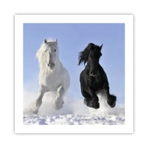 Poster - Zwart-wit galop - 50x50 cm