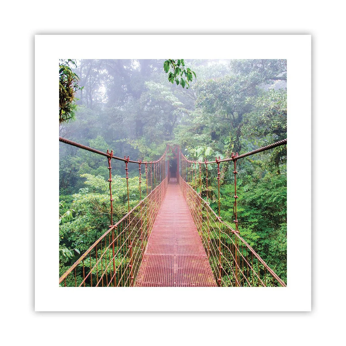Poster - Opgehangen over de kronen - 40x40 cm