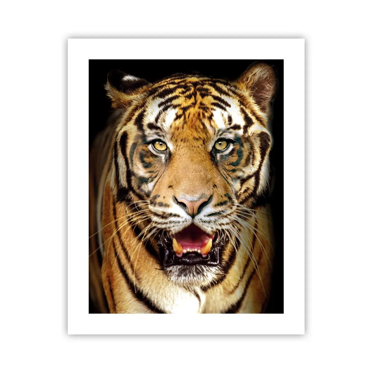 Poster - Wildheid in het hart - 40x50 cm
