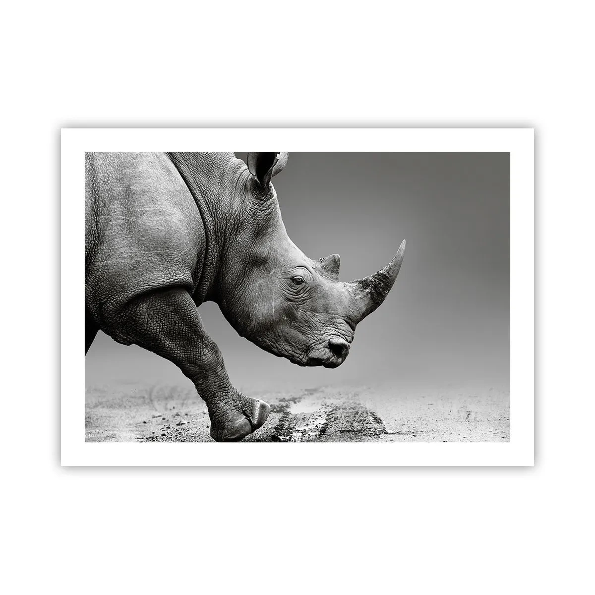 Poster - Onstuitbare kracht - 70x50 cm