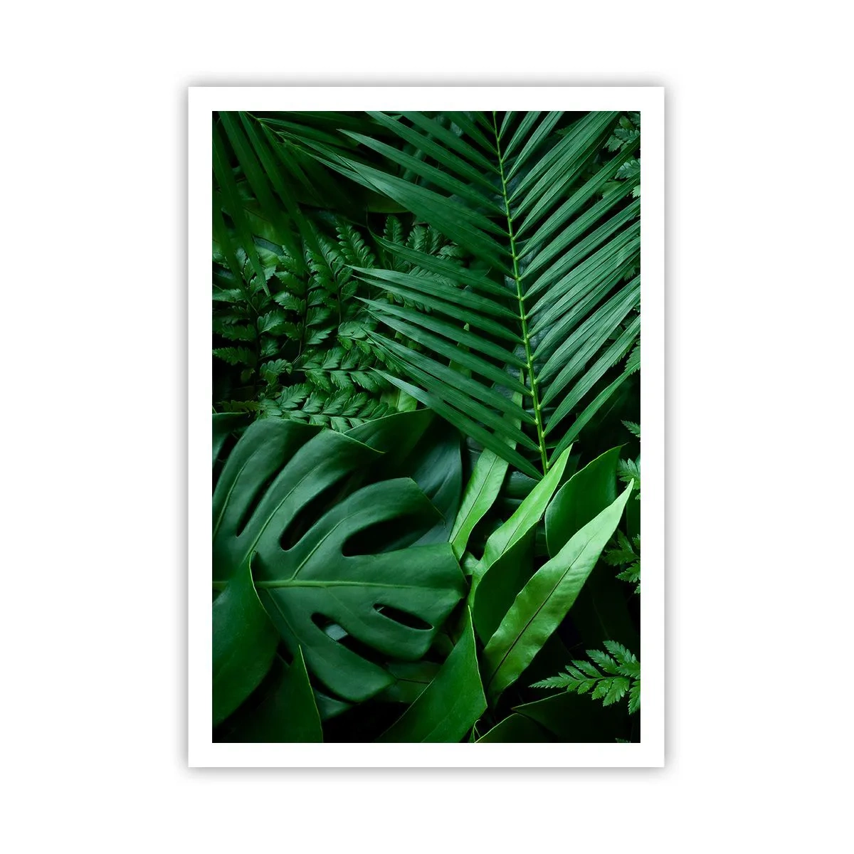 Poster - Ineengedoken in het groen - 70x100 cm