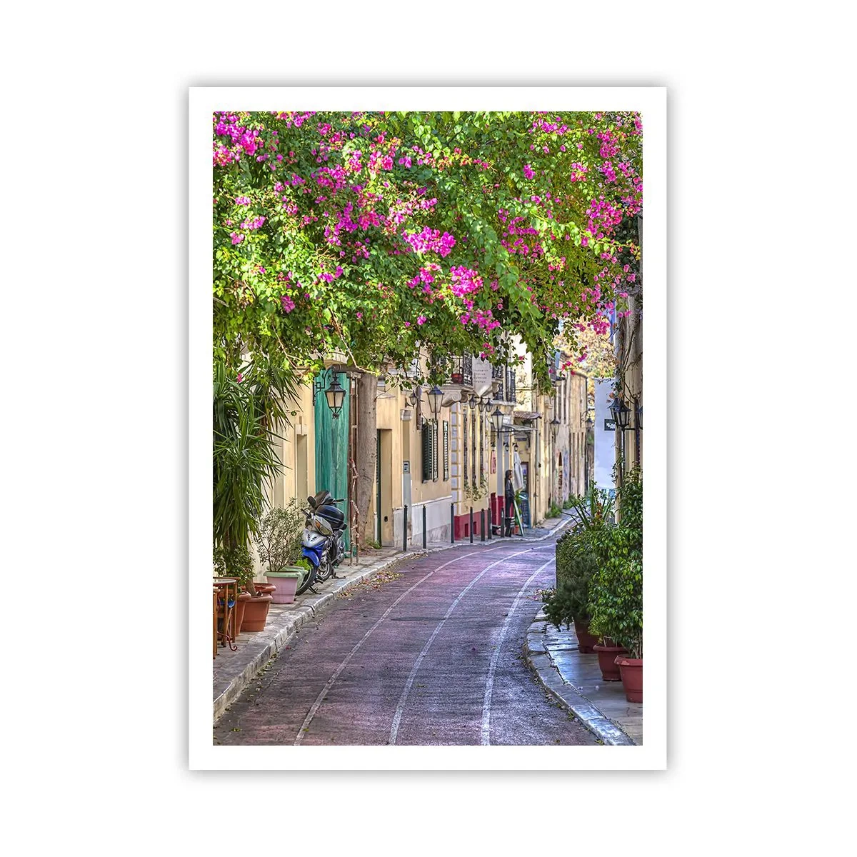 Poster - Bloeiende steeg - 70x100 cm