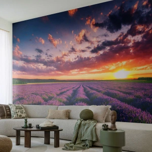 Fotobehang Premium Sand - Lavendel wereld - Landschap, Lavendelveld, Lavendel - 100x70 cm