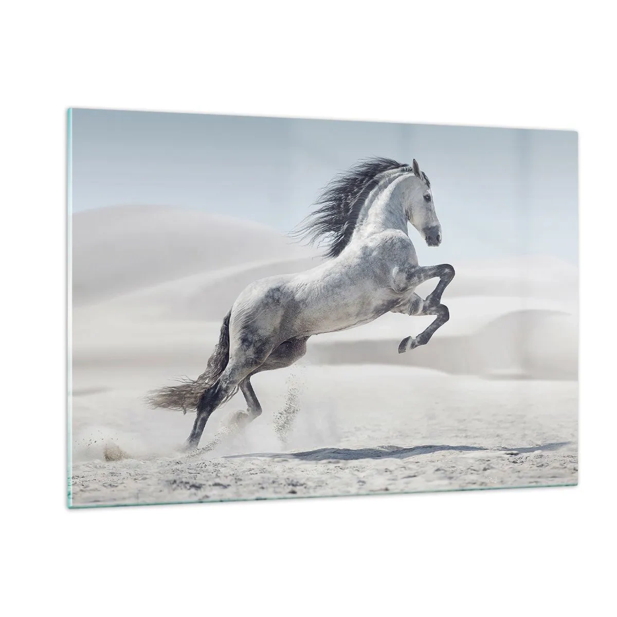 Schilderen op glas - Arabische prins - 120x80 cm