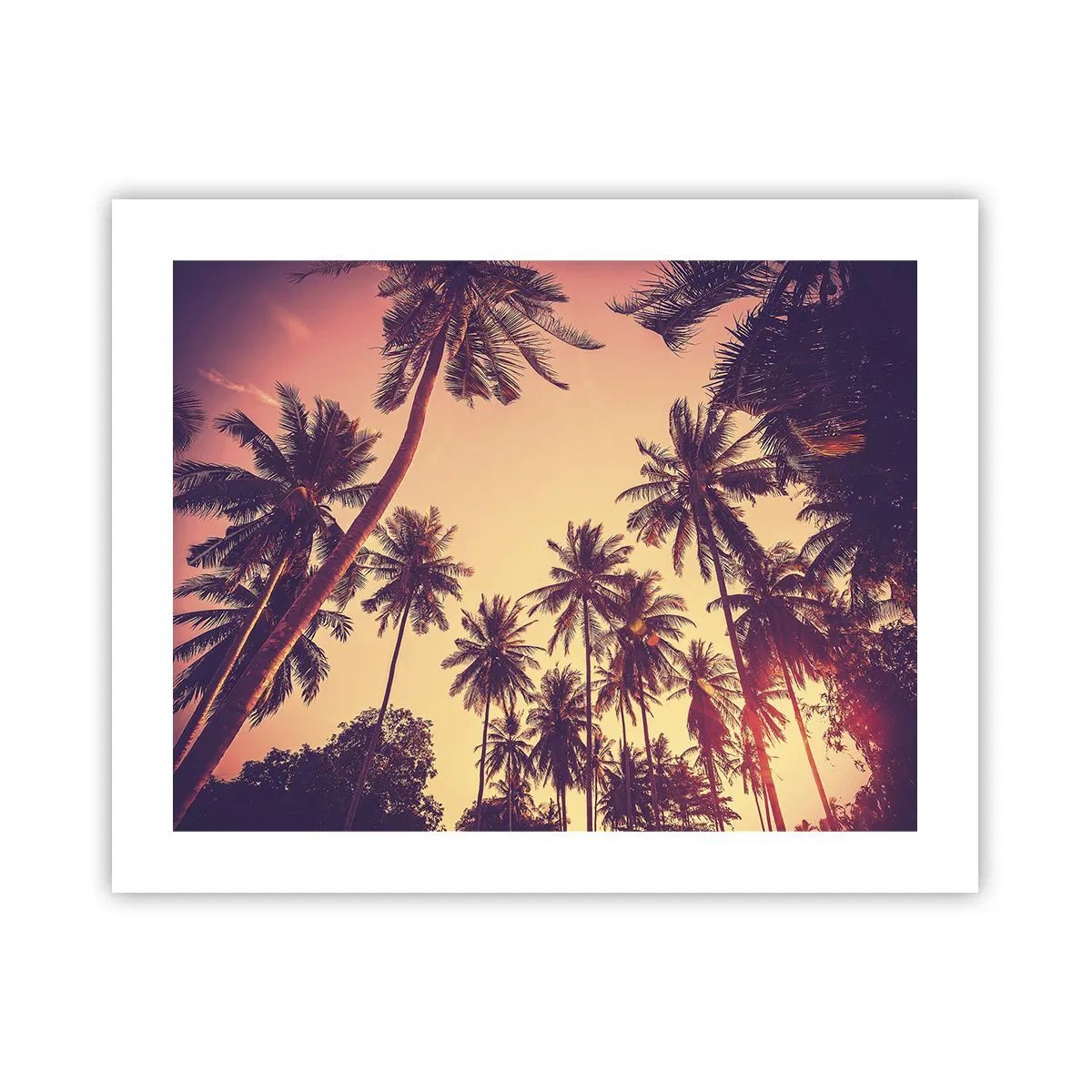 Poster - Een tropische variant - 50x40 cm