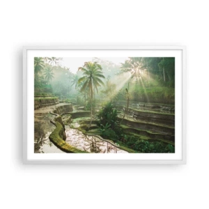 Poster in een witte lijst - Opgroeien in de zon - 70x50 cm