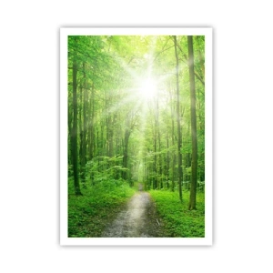 Poster - De groene kathedraal - 70x100 cm