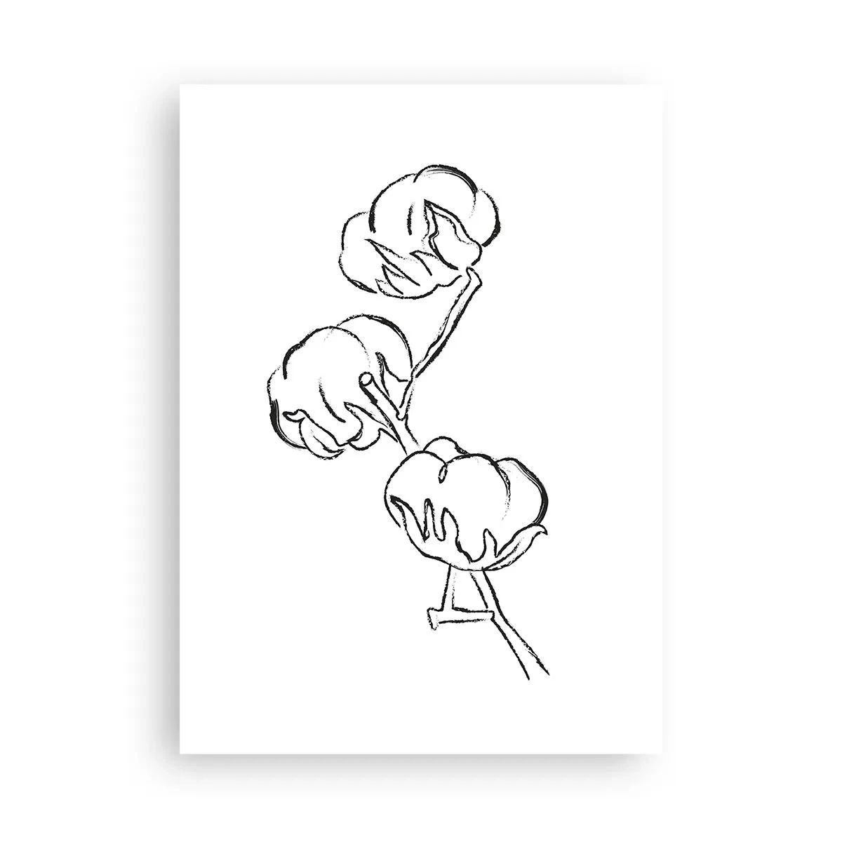 Poster - Katoen dons - 50x70 cm