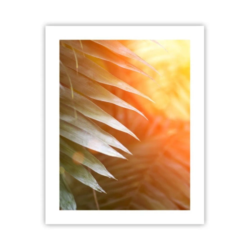 Poster - Ochtend in de jungle - 40x50 cm