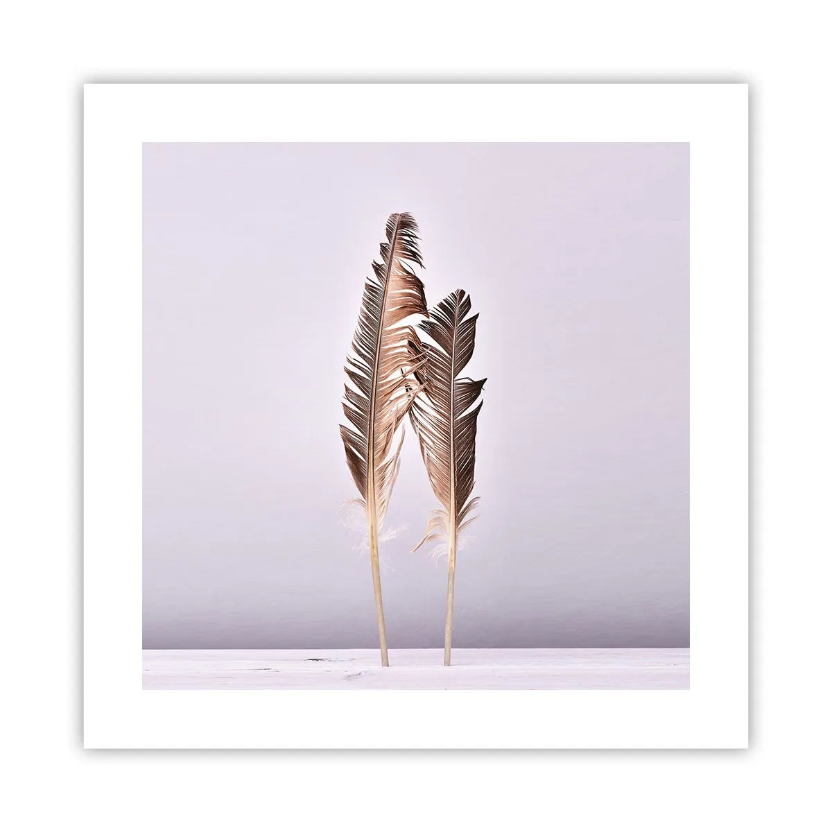 Poster - Tegen het niets - 40x40 cm