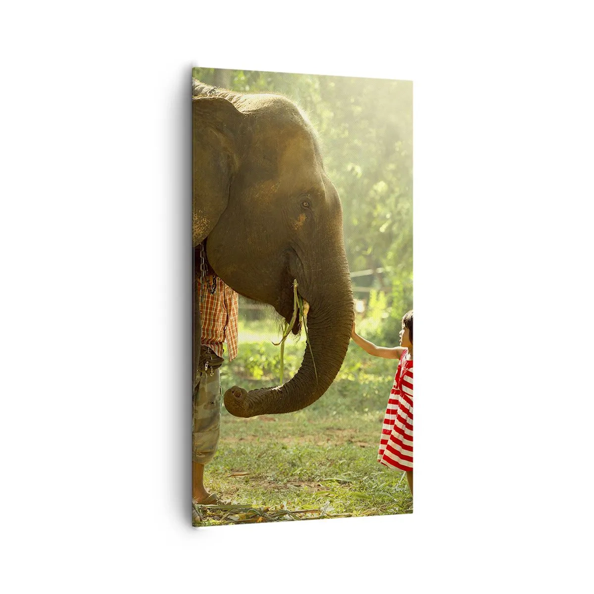 Schilderen op canvas - De kracht van vriendschap - 65x120 cm