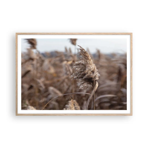 Een poster in een licht eiken lijst - Tijd om met de wind mee te gaan - 100x70 cm