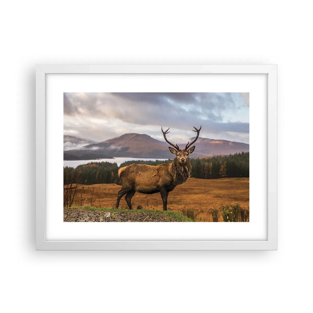 Poster in een witte lijst - De majesteit van de natuur - 40x30 cm