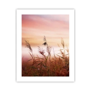 Poster - Vliegers, paardebloemen, wind - 40x50 cm