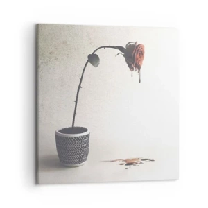 Schilderen op canvas - Rosa dolorosa - 50x50 cm