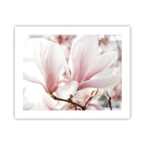 Poster - Een overvloed aan tederheid - 50x40 cm