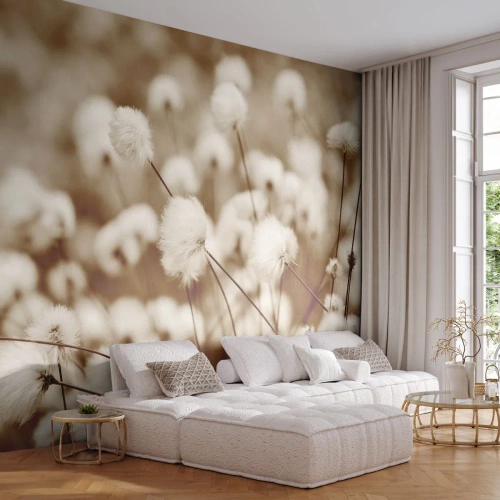 Fotobehang Premium Sand - Pluizig korenveld - Katoenen bloem, Bloem, Katoen takje - 100x70 cm