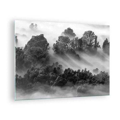 Schilderen op glas - Mistig bos in zonlicht in zwart-wit - 70x50cm - Opstaand