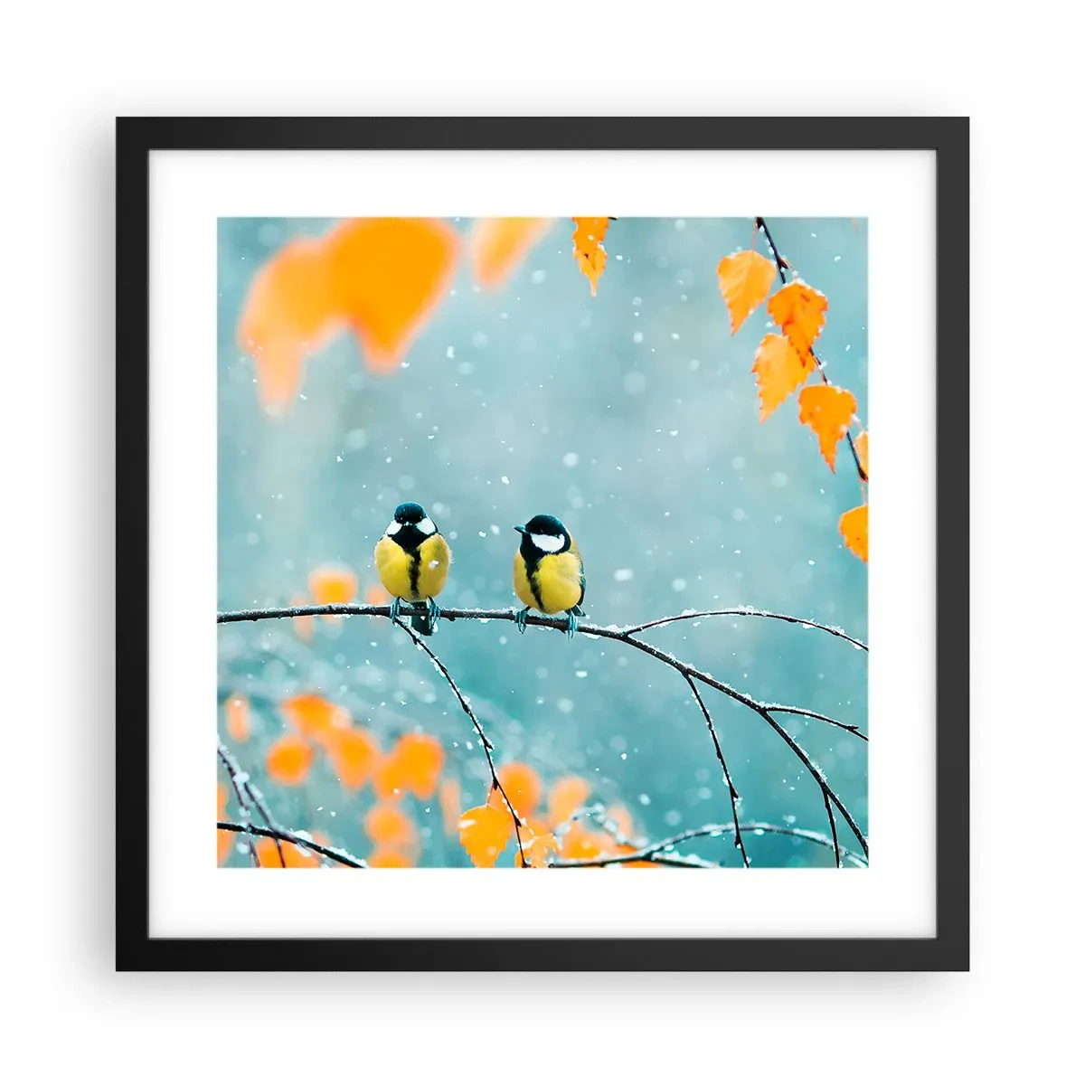 Poster in een zwarte lijst - Vogelroddel - 40x40 cm