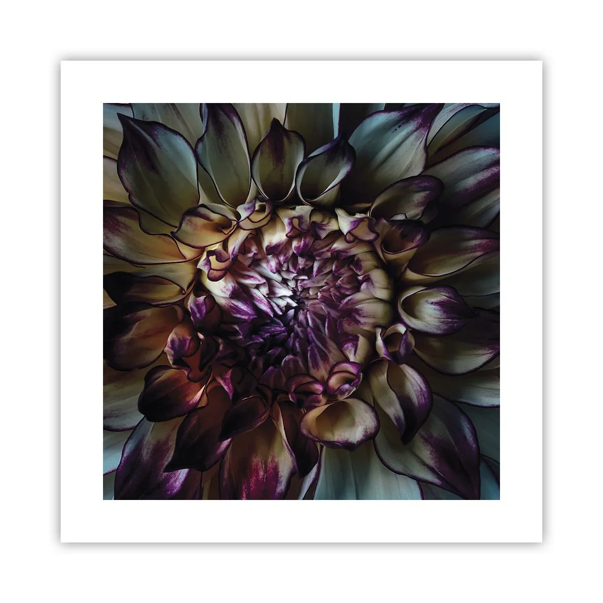 Poster - De hoogtijdagen van de jeugd - 40x40 cm