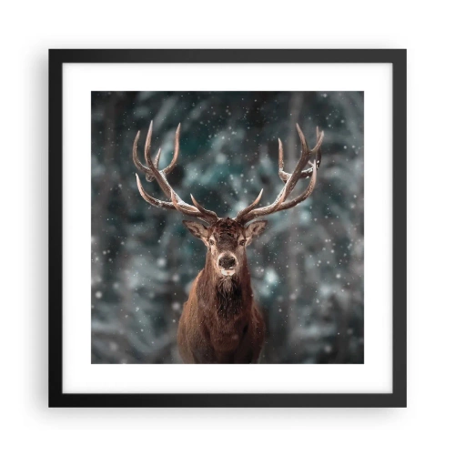 Poster in een zwarte lijst - Gekroond tot koning van het bos - 40x40 cm