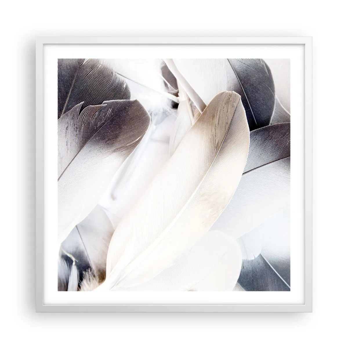 Poster in een witte lijst - Bijna engelachtig - 60x60 cm