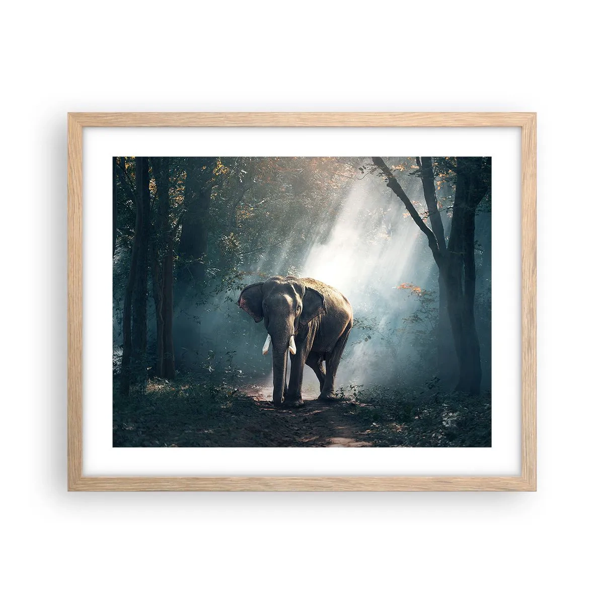 Een poster in een licht eiken lijst - Een ontspannen wandeling - 50x40 cm