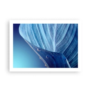 Poster - Verborgen druppels blauw - 70x50 cm