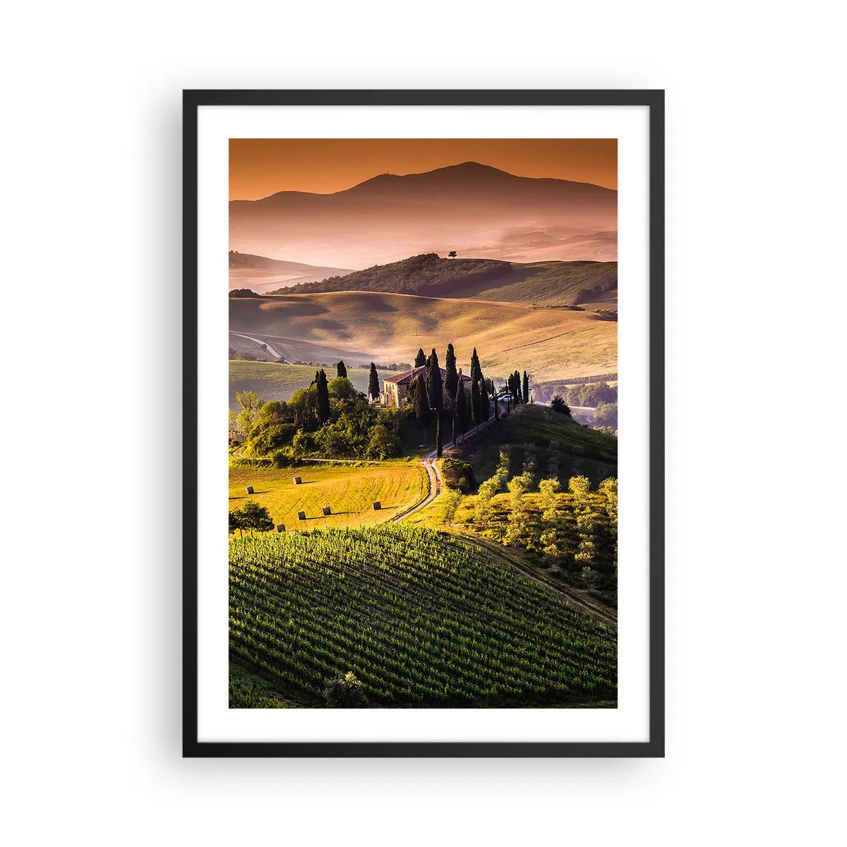 Poster in een zwarte lijst - Toscaans landschap met wijngaarden bij zonsondergang - 50x70cm - Arcadia - het Toscaanse landschap - Moderne wanddecoratie voor woonkamer en slaapkamer ARTTOR